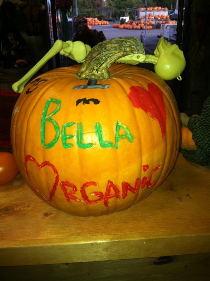 Bella-Organic-Painted-pumpkin