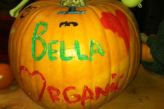 Bella-Organic-Painted-pumpkin