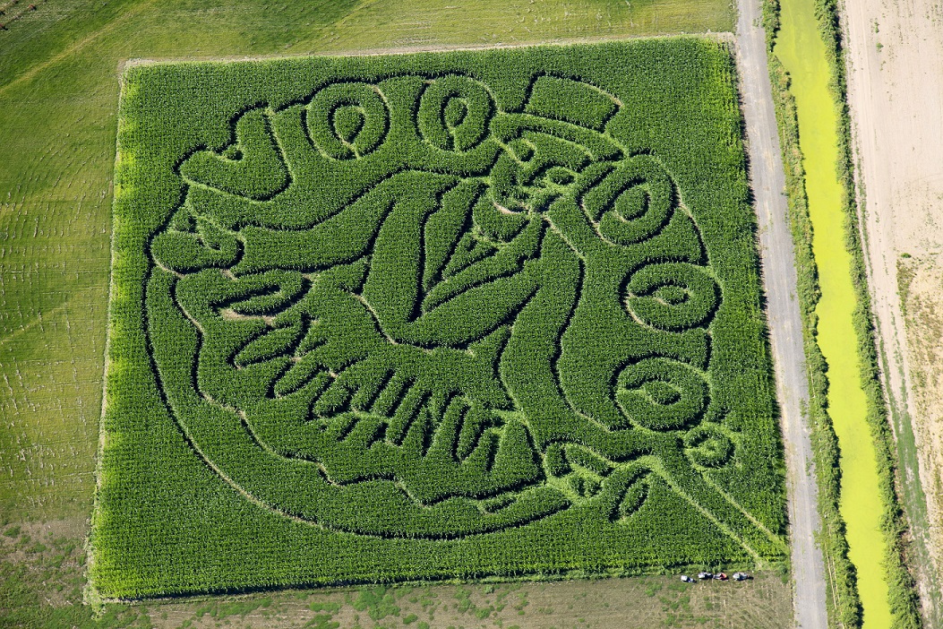 Richmond Pumpkin Patch Corn Maze