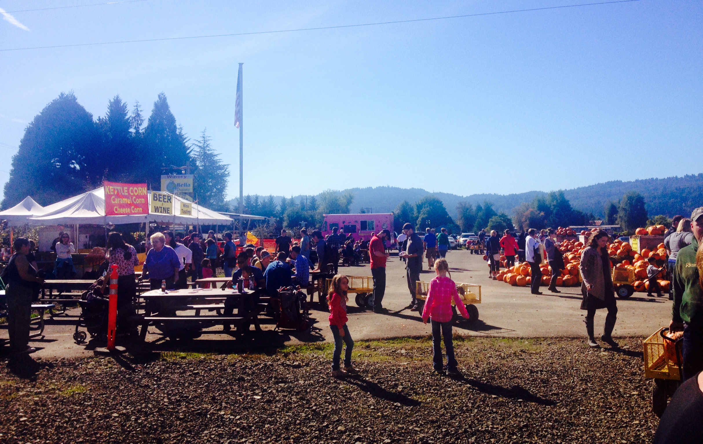 farm pumpkin crowd Bella Organic Sauvie Island Portland Oregon