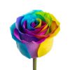Greeting Card "Posy Prism"