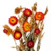 Greeting Card "Harvest Treasures"